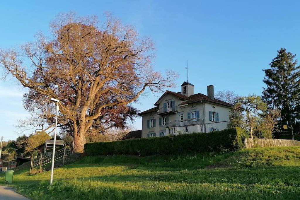 Seesicht Und Charmante Wohnung Bei Hanni Und Ueli Bottighofen Buitenkant foto
