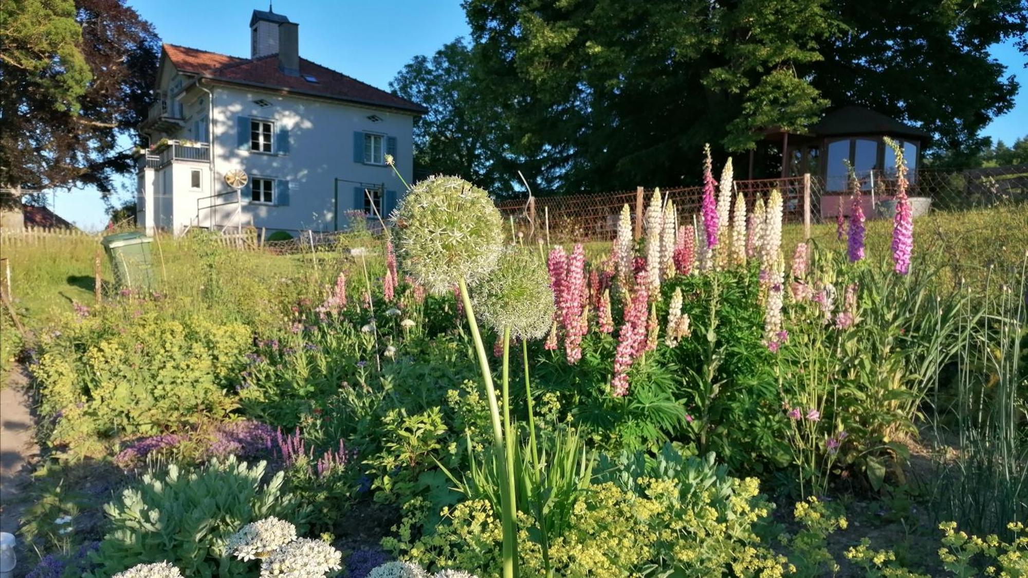 Seesicht Und Charmante Wohnung Bei Hanni Und Ueli Bottighofen Buitenkant foto